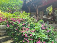 -中国茶叶博物馆(双峰馆区)