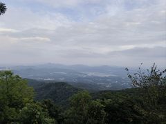 -广州市帽峰山景区