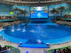 -海合安成都极地海洋公园