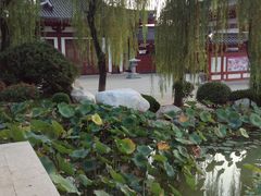 image-西安华清御汤酒店