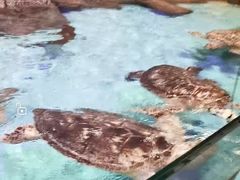-波塞冬海底世界