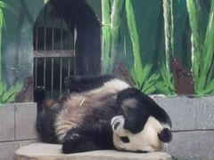 -南昌动物园