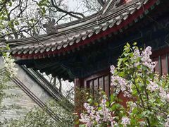 -红螺寺