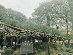 -中村藤吉(本店)