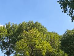-滨湖塘西河公园