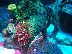 -沈阳海洋探索中心