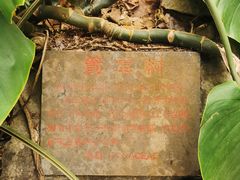 -中国科学院西双版纳热带植物园