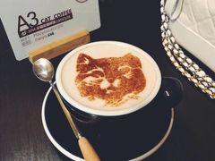 -猫友咖啡店(玉林西路店)