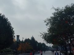-大雁塔北广场音乐喷泉