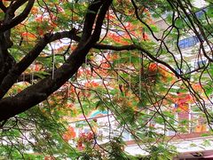 -缘生态云南菜·野生菌庭院餐厅(华侨城店)