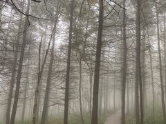 -白草畔自然风景区