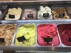 冰淇淋-Patagonia Chocolates(皇后镇店)