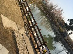 -田园东方蜜桃村的田野营地