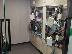 -半岛宠物医院24小时(科华中路店)