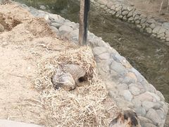 -呀路古热带植物园