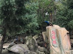 -哈尔滨北方森林动物园