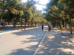 -北陵公园