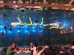 -瑞德姆美人鱼海底演艺主题餐厅(亚龙湾店)