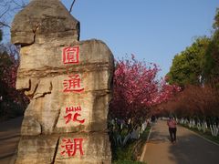 -昆明动物园