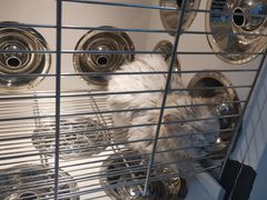 -佳雯宠物医院(金华南路分院)