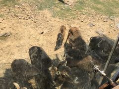 -无锡动物园·太湖欢乐园