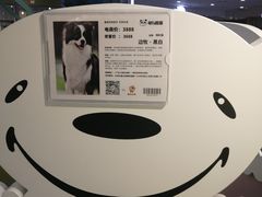 -龟与熊猫宠物公园(南坪店)