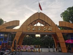 -金花茶公园
