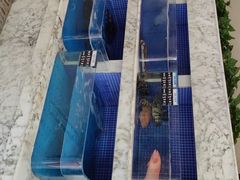 -香山湖渔家大院