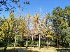 -山东大学(趵突泉校区)