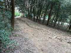 -北仑森林植物园