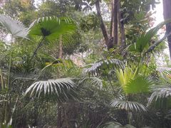 -青城道汤池