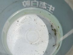 -羊山湖公园