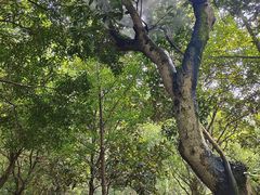 -韶山毛泽东同志故居