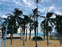 -大梅沙海滨公园