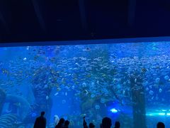 -波塞冬海底世界