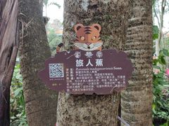 -海南热带野生动植物园