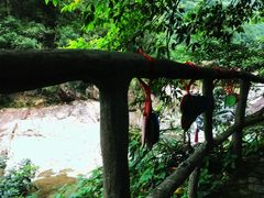 -龙湾潭国家森林公园