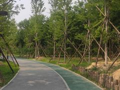 -回龙观体育文化公园
