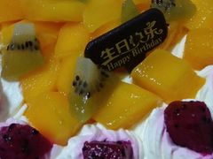 -维尔纳斯·生日蛋糕·动物奶油冰淇淋蛋糕(六里桥店)