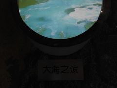 -中国地质大学逸夫博物馆
