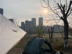 -桂溪生态公园