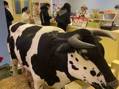 -红星前进面包牛奶公司(君太店)