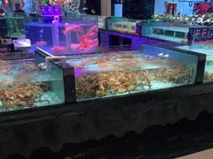 水产区-尚海豆捞(乐虹坊店)