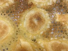 -良友·海鲜青岛菜(五四广场店)