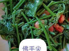 -树厨贵州菜(铜仁花果山店)