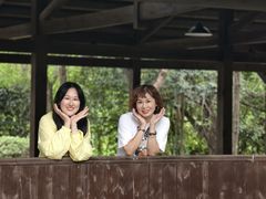 -盘龙城国家考古遗址公园