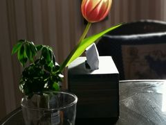 -Rabbit Cafe私房西餐甜点咖啡(栖霞路店)