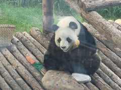 -大连森林动物园