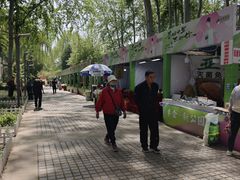 -仁和公园(顺义区)