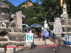 -大岭沟猕猴桃谷风景区